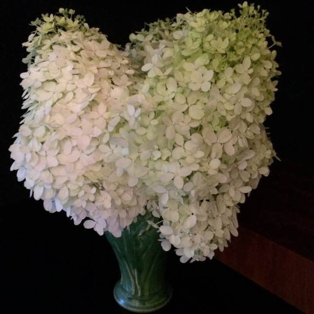 Meet your Posher, Colleen